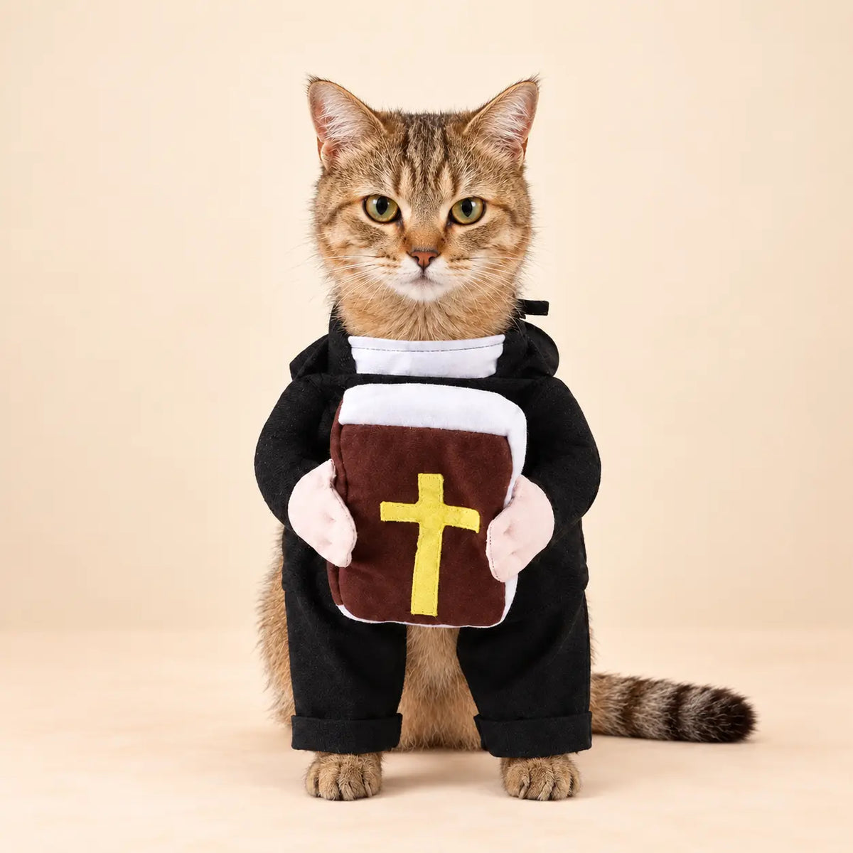 Holy Costume